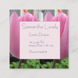 Rosa Tulip Tulips Garden Square St. Tilläggskort