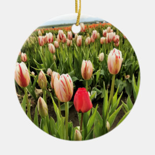 Rosa Tulip ut Julgransprydnad Keramik