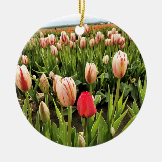 Rosa Tulip ut Julgransprydnad Keramik (Framsidan)