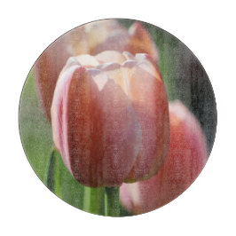 Rosa Tulips