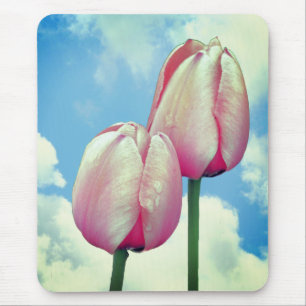 Rosa Tulips Blå himmel Clouds Nature Musmatta