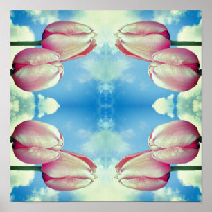 Rosa Tulips Blå himmel och vit moln Abstrakt Poster