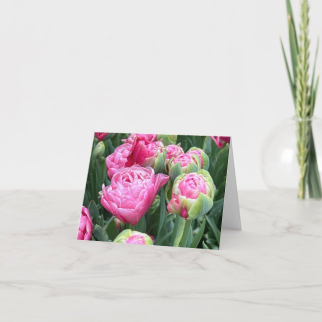 Rosa Tulips Blanka anteckningskort (Framsida)