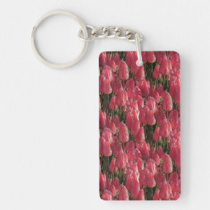 Rosa Tulips Blommigt