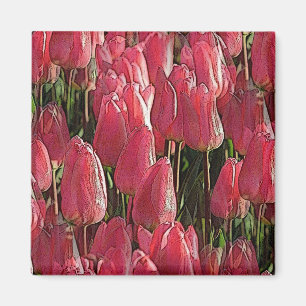 Rosa Tulips Blommigt Magnet