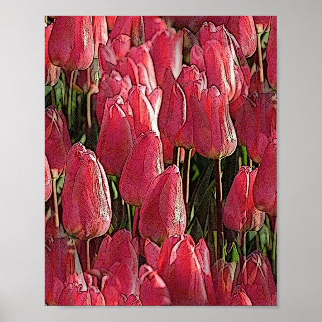 Rosa Tulips Blommigt Poster (Framsidan)
