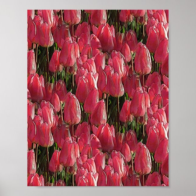 Rosa Tulips Blommigt Poster (Framsidan)