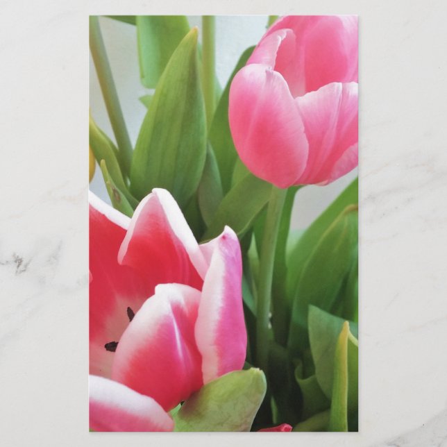 Rosa Tulips, Blommigt Vår Bouquet, blommor Brevpapper (Framsida)