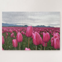 Rosa Tulips Flowers Jigszle Puzzle