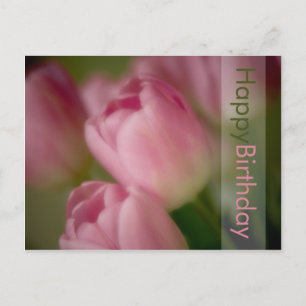 Rosa Tulips födelsedagsvykort Vykort