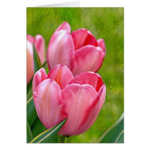 Rosa Tulips Hälsningskort