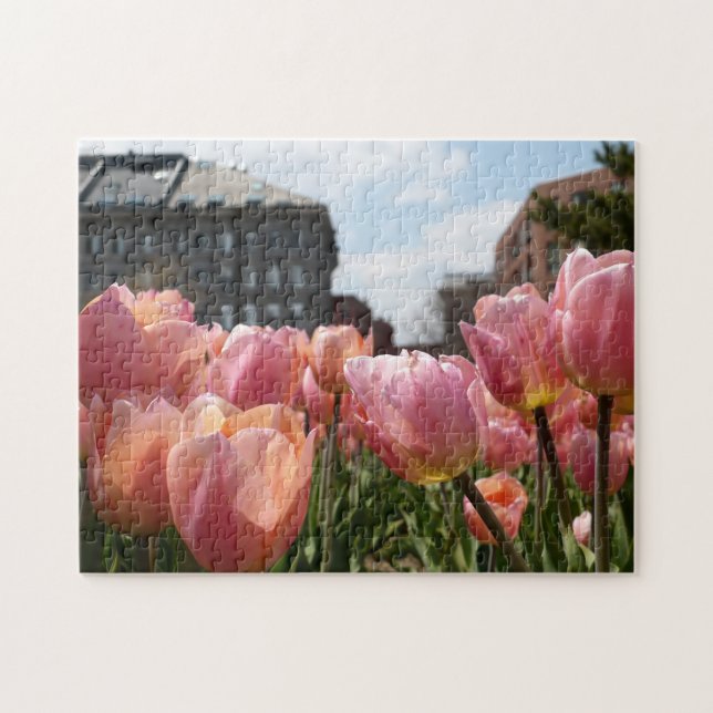 Rosa Tulips i Boston's North End Pussel (Horisontell)