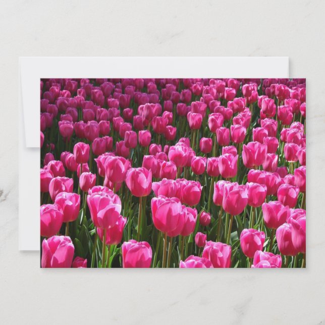 Rosa Tulips-inbjudan Inbjudningar (Framsida)