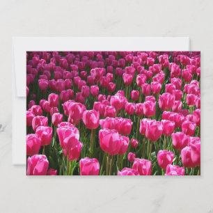 Rosa Tulips-inbjudan Inbjudningar