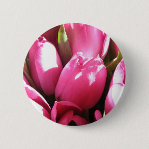 Rosa Tulips Knapp
