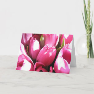 Rosa Tulips-kort Kort