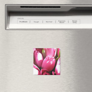 Rosa Tulips Magnet