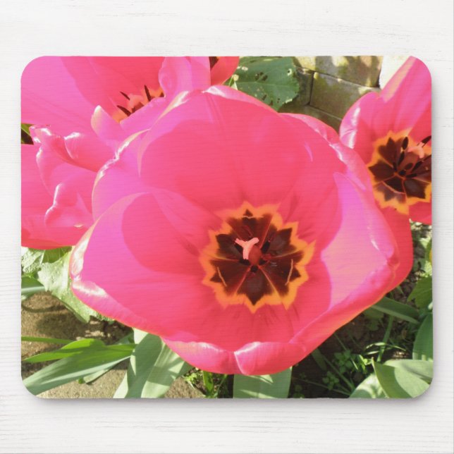 Rosa Tulips Mousepad Musmatta (Framsidan)