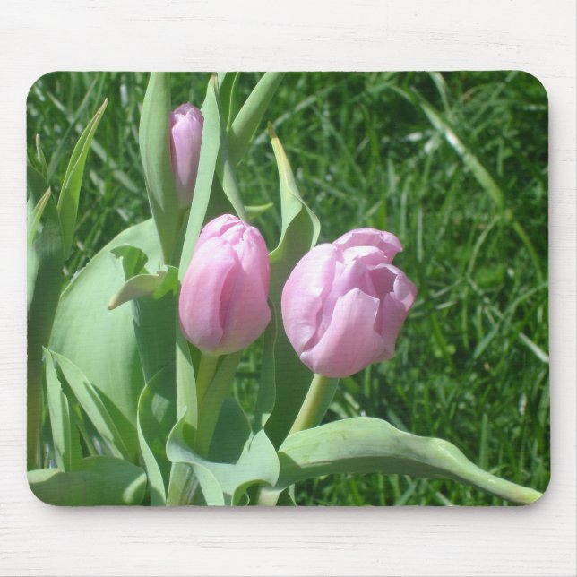 Rosa Tulips Mousepad Musmatta (Framsidan)