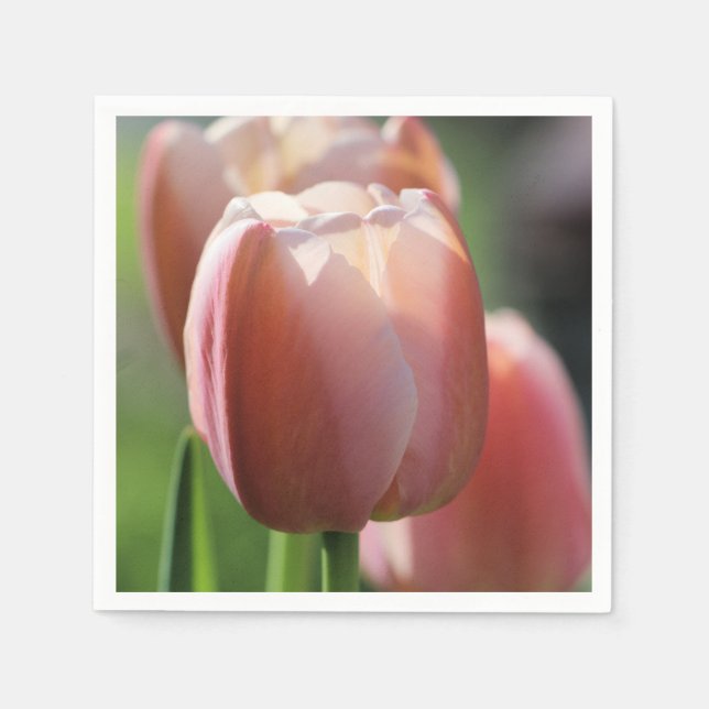 Rosa Tulips Pappersservett (Framsidan)