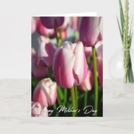 Rosa Tulips Photo Mors dag Card Tack Kort