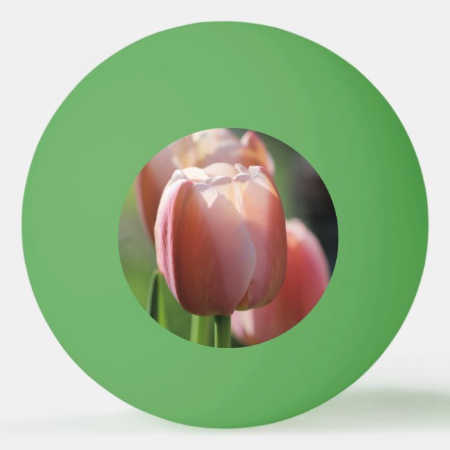 Rosa Tulips Pingisboll (Framsidan)