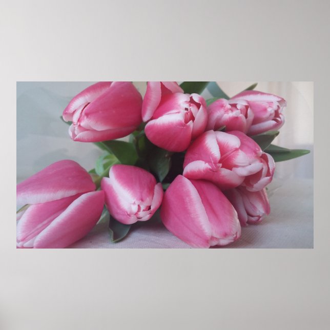 Rosa Tulips, Poster (Framsidan)