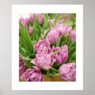 Rosa Tulips Poster