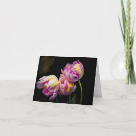 Rosa Tulips Sjunga Blåkortet Tack Kort