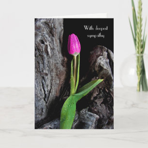 rosa tulp på drivträsympati kort