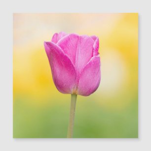 Rosa Tulpan Blommig Konsttryck