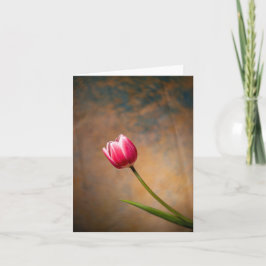 Rosa tulpan med en twist kort