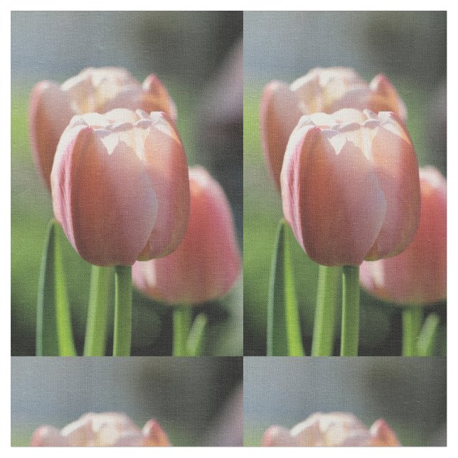 Rosa tulpan tyg (Närbild)