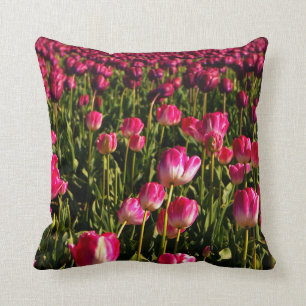 Rosa tulpaner, blommigt, trädgård, blommor, rosa kudde