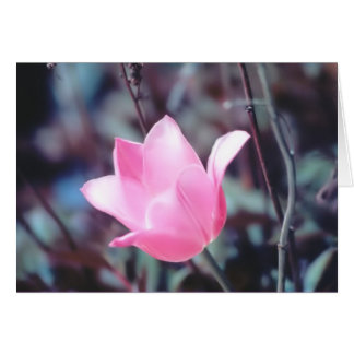 rosa-tulpaner hälsningskort