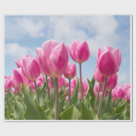 Rosa tulpaner inpackningspapper  presentpapper