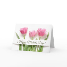 Rosa tulpaner Mors dag