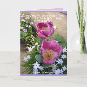 Rosa tulpaner stjärnblommor vårträdgård blommor ko kort
