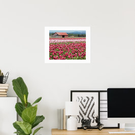 Rosa Tulpanfält Blommig Fotografi Poster