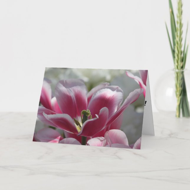 rosa tulpanfödelsedagskort kort (Framsida)
