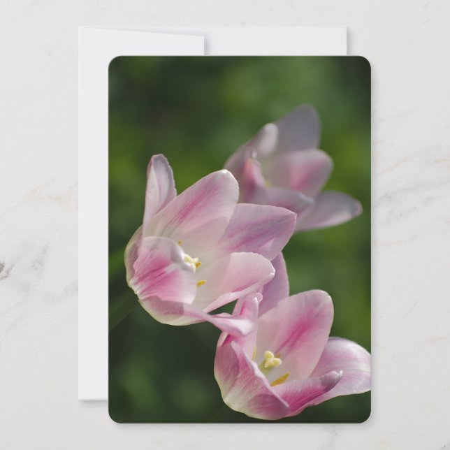 Rosa-tulpaninbjudan Inbjudningar (Framsida)