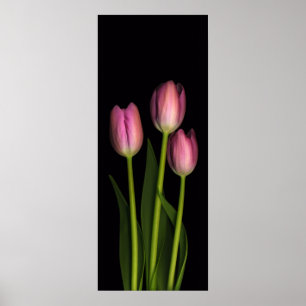 Rosa tulpanTriotryck Poster
