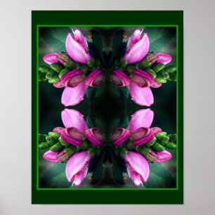 Rosa Turtlehead Flower Close Up Spegel Abstrakt Poster