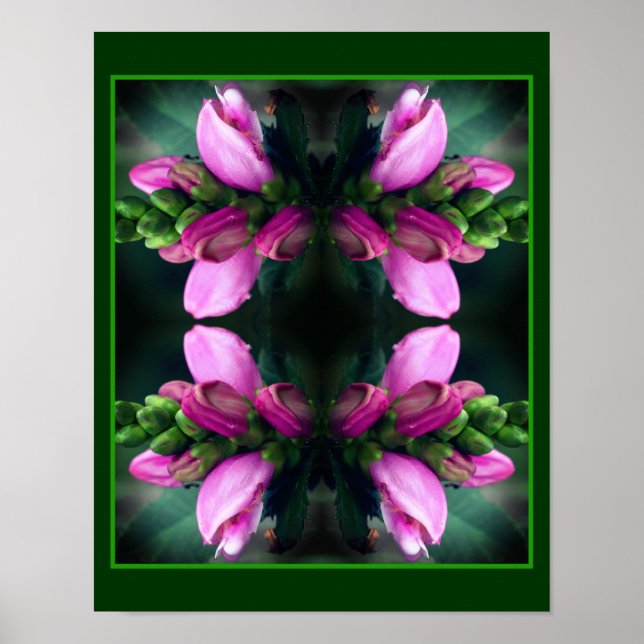 Rosa Turtlehead Flower Close Up Spegel Abstrakt Poster (Framsidan)