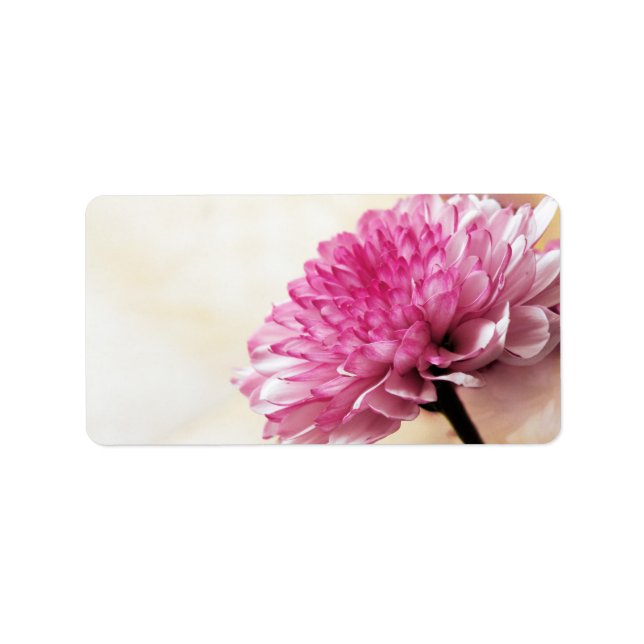 rosa tusensköna adressetikett (Framsidan)