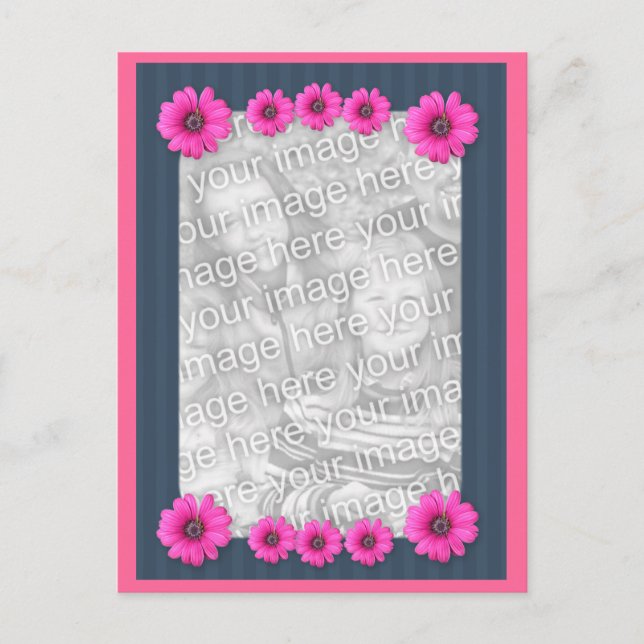 Rosa tusenskönor Blommor Foto vykort (Framsida)