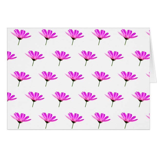 Rosa tusenskönor   hälsningskort (Framsidan Horizontal)