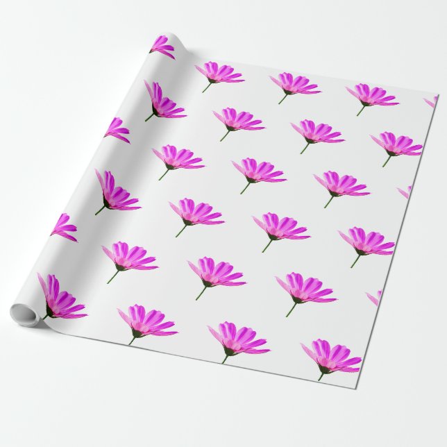 Rosa tusenskönor  presentpapper (Utrullad)