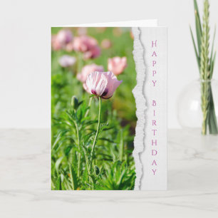 Rosa vallmoblommafödelsedag kort