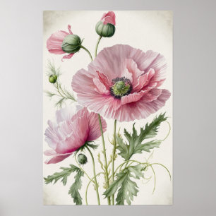 Rosa vallmoblommor konsttryck affisch
